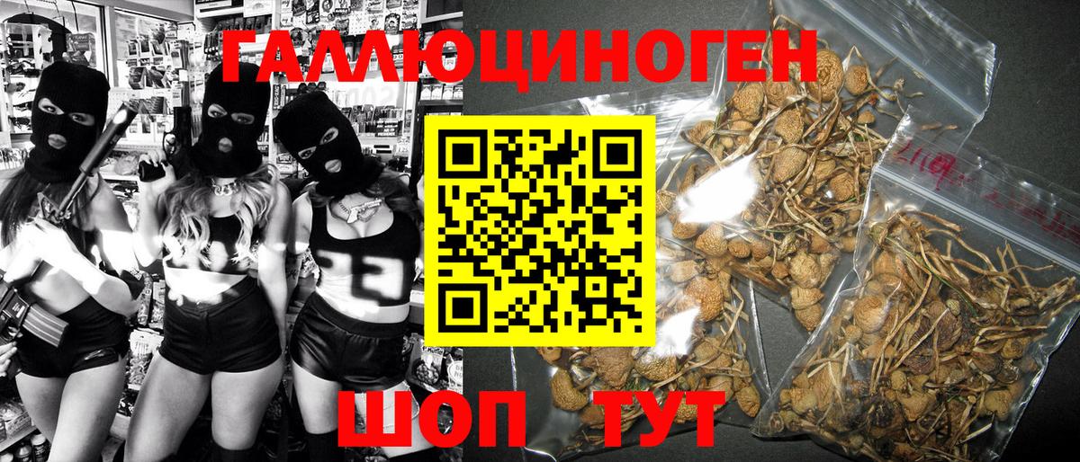 где найти наркотики  Псилоцибиновые грибы MAGIC MUSHROOMS  Вышний Волочёк  Галлюциногенные грибы мицелий 
