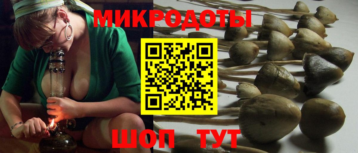 Вышний Волочёк  Галлюциногенные грибы прущие грибы  Вход с VPN 