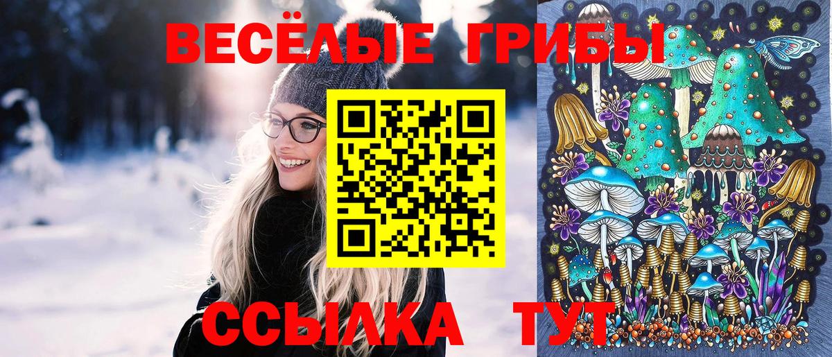 Псилоцибиновые грибы прущие грибы Вышний Волочёк
