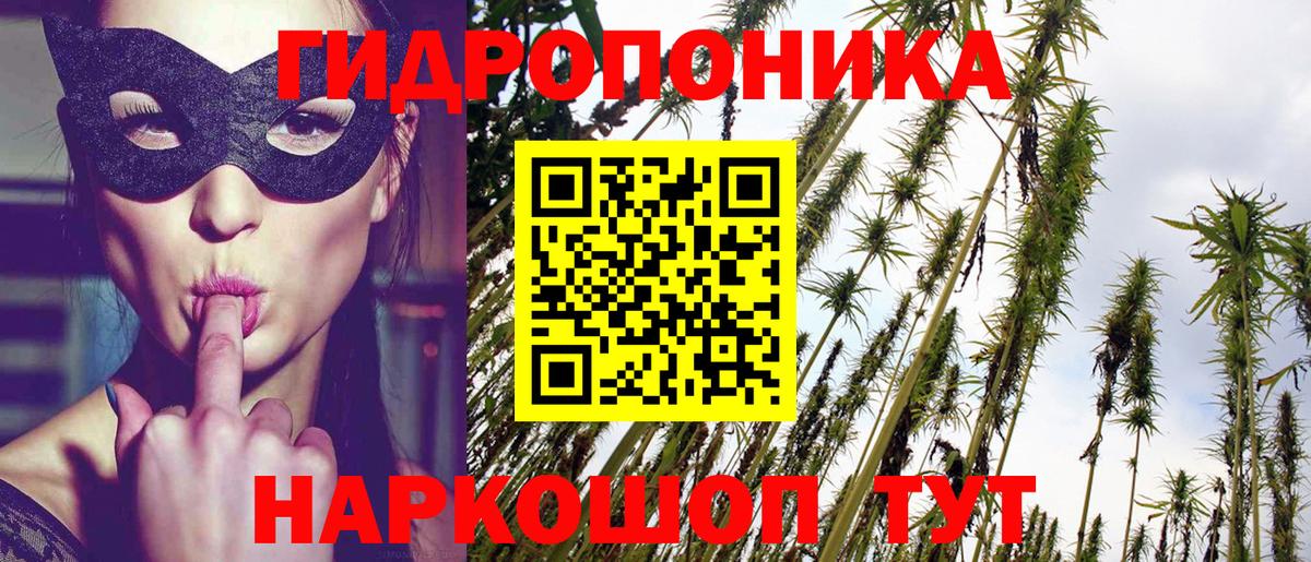 Каннабис планчик  Бошки марихуана Bruce Banner  Каннабис MAZAR  Вышний Волочёк 